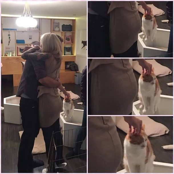 When BAE welcomes you home but youre happier to see the cat