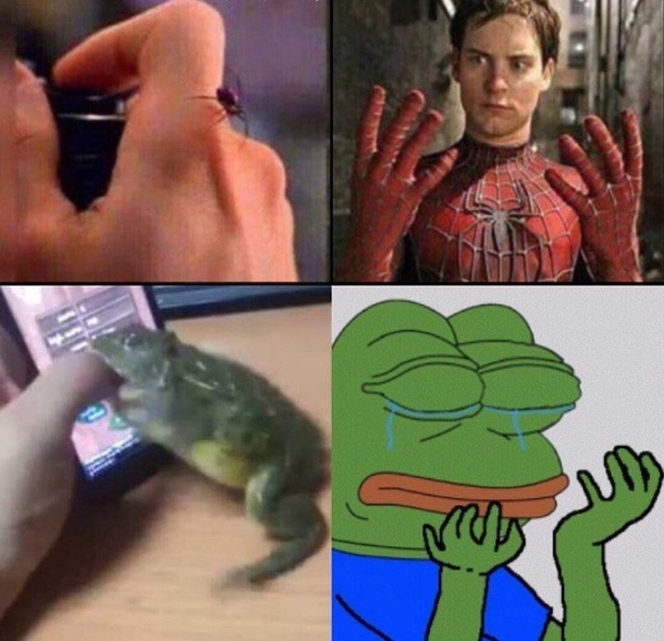 When bitten by the wrong
