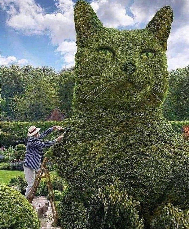 When dad said he didnt want any cat in the house Him  weeks later