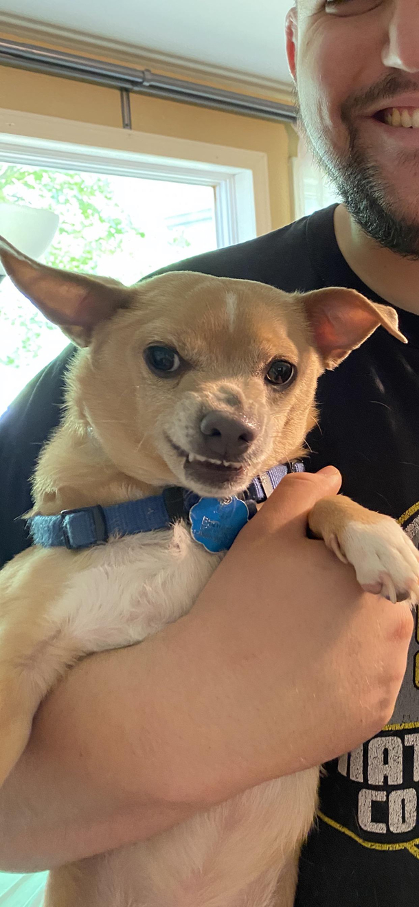 When dad says Smile so you do your best
