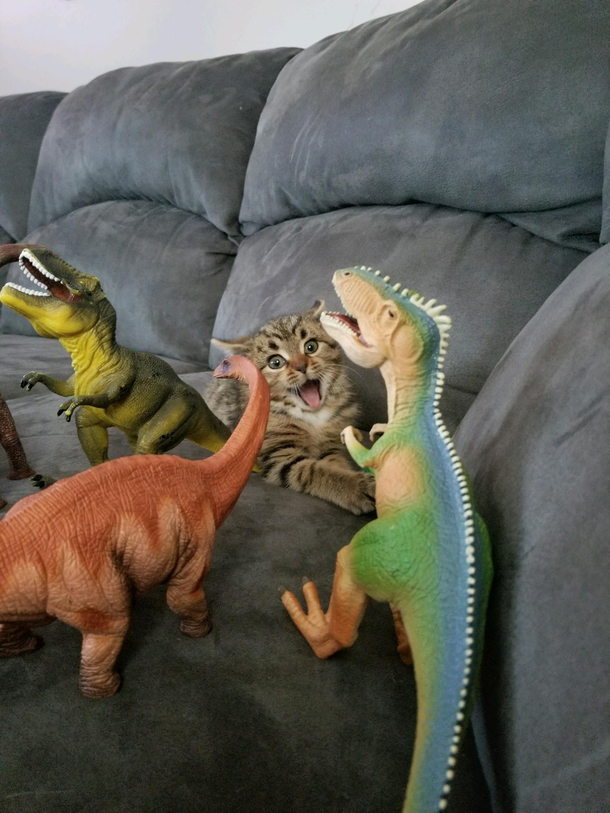When dinosaurs attack