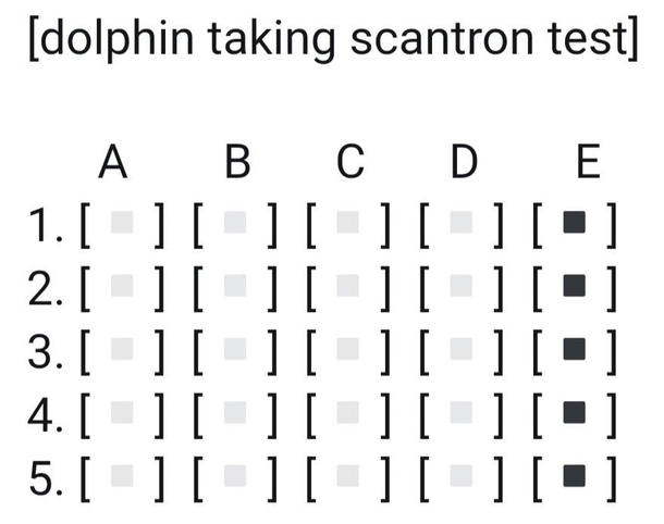 When dolphins take tests