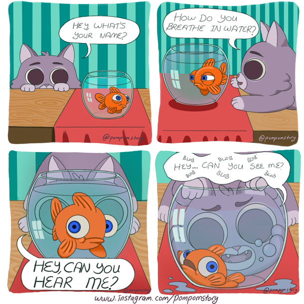 when extrovert meets introvert