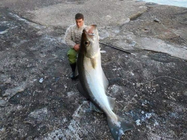 When fishing always bring an action figure