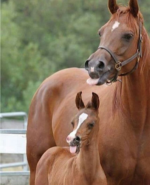 When grandma got my back because mom was yelling at me stolen from Facebook