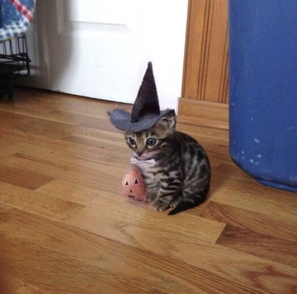 When Halloween is over but youre still in the spirit