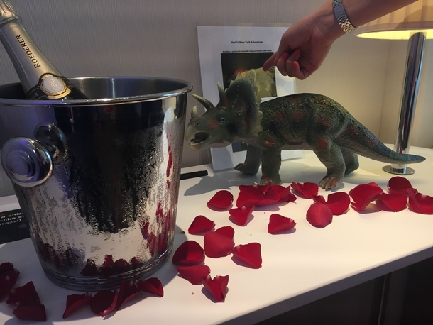 When I booked my hotel a few months ago I put in a few special requests as a joke Champagne roses and a plastic dinosaur Then I totally forgot that Id made that request Absolutely lost my shit when I checked into my room today