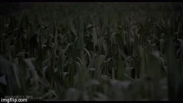 When I make a cool gif but cant figure out which subreddit to put it in