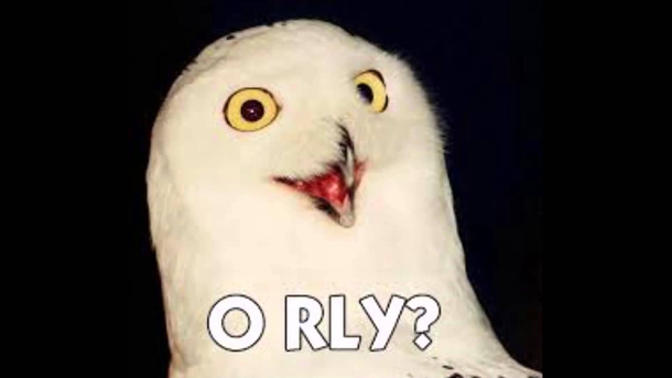 When I read people are posting old memes