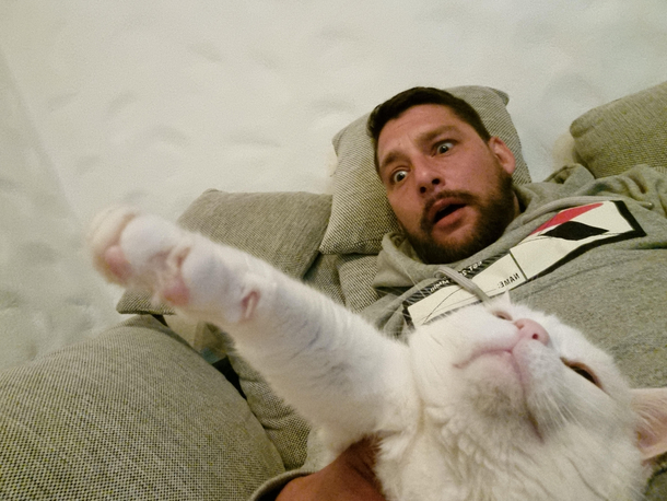 When I realize my cat is a Catzi