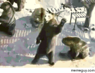 When I see a someone I know but they dont recognize me