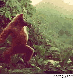 When Im Feeling Down I Just Watch This