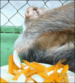 When Im hung over and my gf brings me food in bed