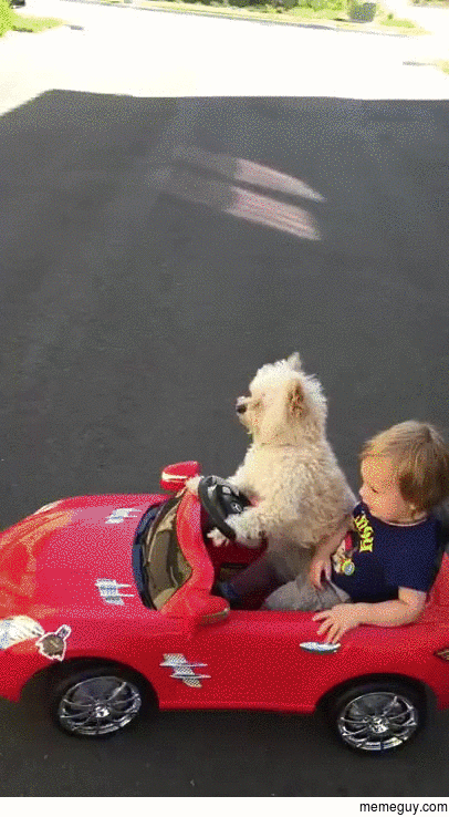 When Im too wasted to drive