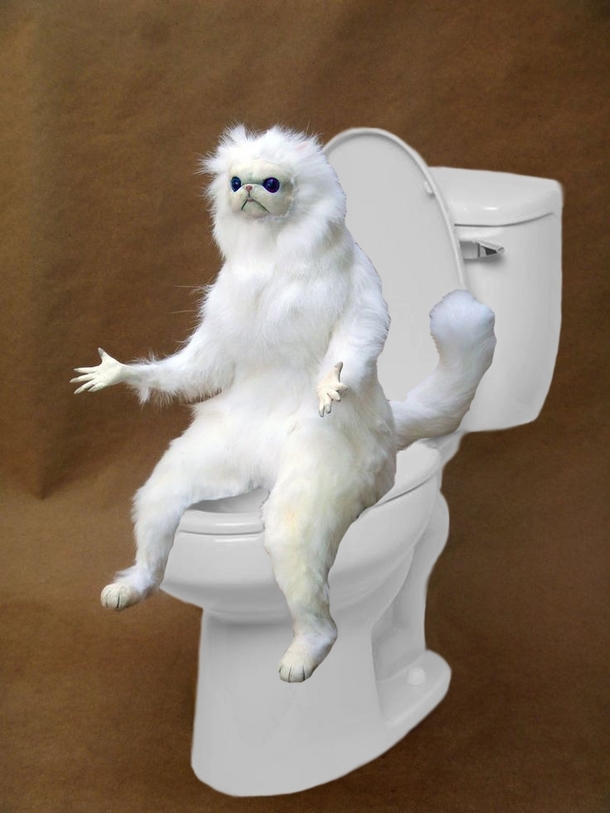 When it was your roommates turn to buy toilet paper and he bought -ply