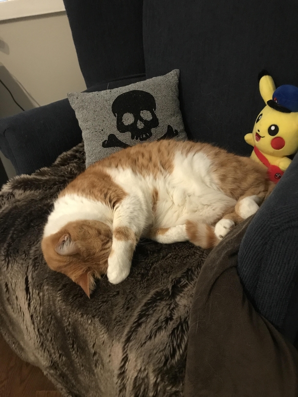 When its too bright in my room he covers his eyes with his paws to sleep