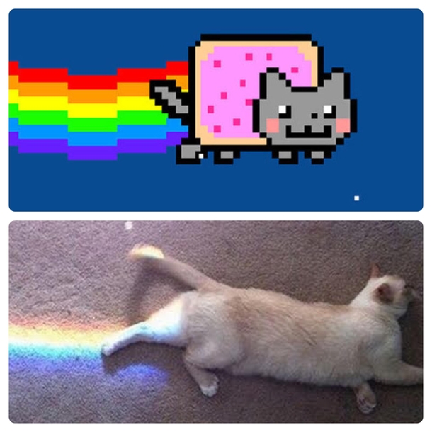 When meme becomes reality