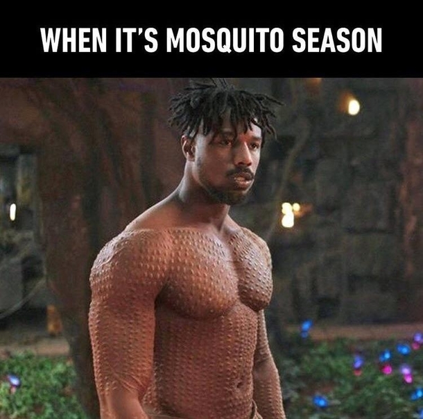 When mosquitoes love you