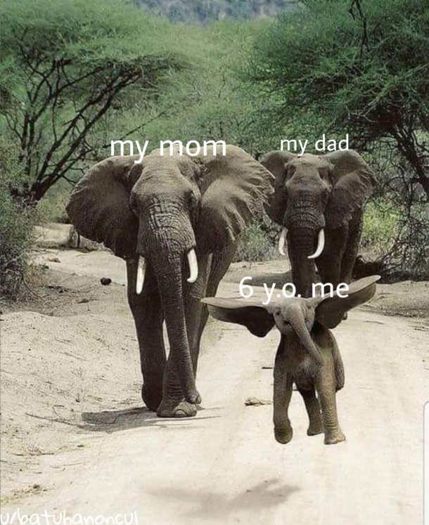When my father said Were going to the toy store