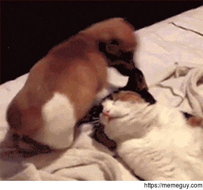 When my SO is in the mood