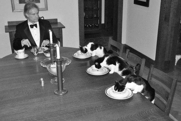 When my wife leaves town I get bored Six days into her vacation I joked Im going to have a formal dinner with the cats Then I thought about it for a while