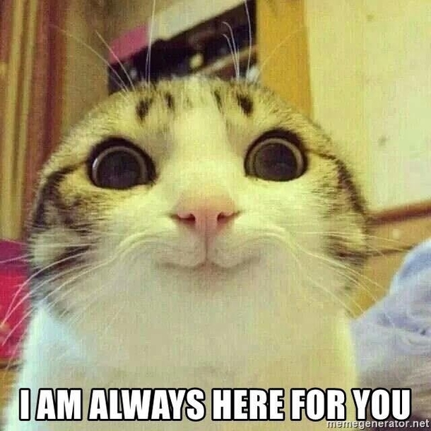When Netflix or Hulu ask if Im still there