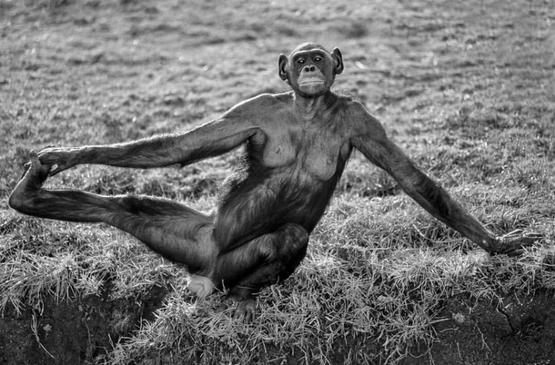 When old Dudes stretch at the Gym