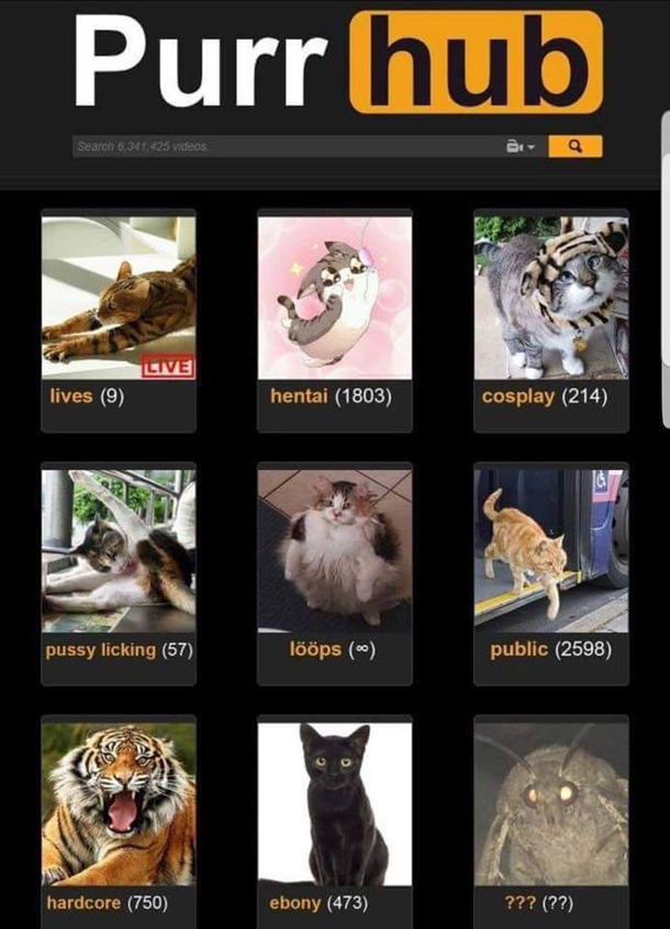 When people ask me what may favourite porn site is