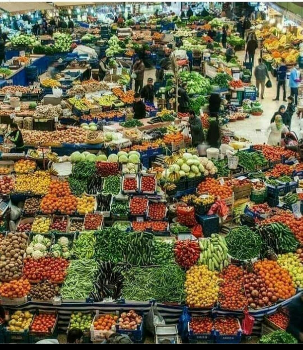 When people ask what do vegetarian eat