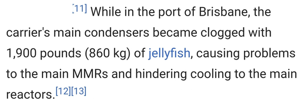 When people think Aussies joke about how dangerous our wildlife is but forget our Jellyfish tried to take out the USS Ronald Reagan