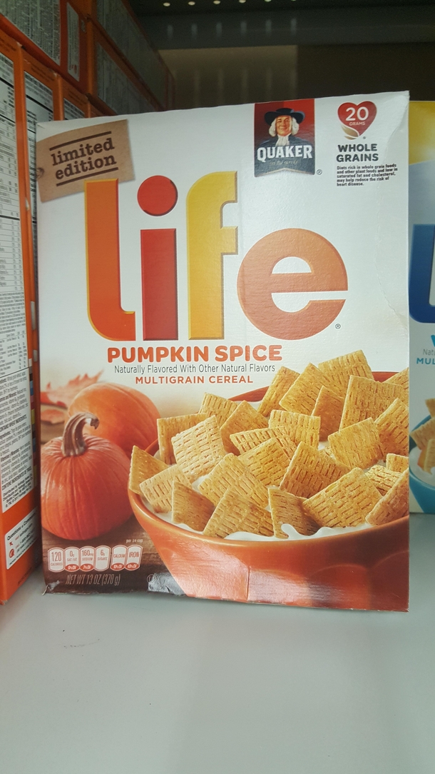 When pumpkin spice is life