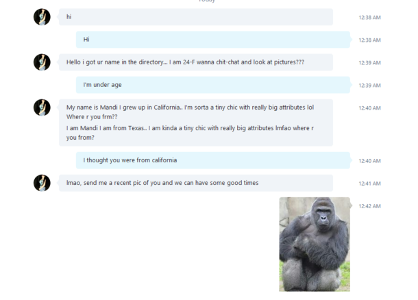 When Skype bots try chat you up