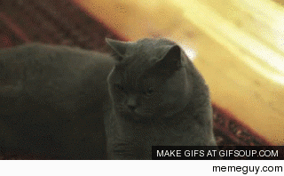 When someone crop dusts me this is MR