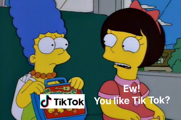 When someone mentions TikTok on Reddit