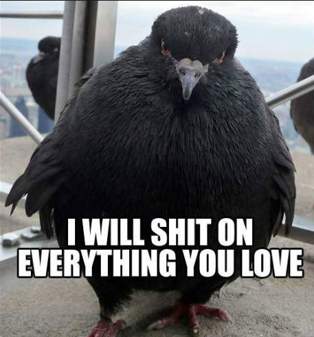 when someone talks about the dangerous side-effects of vaccines