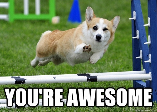 When Someone Upvotes My Old Post