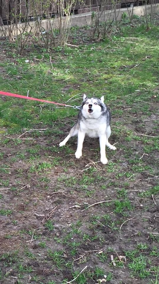 When someone walks in when Im in the bathroom