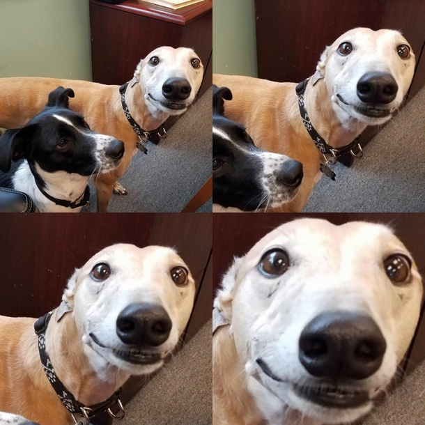 When the acid hits