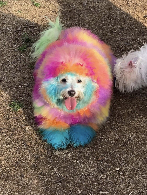 When the acid kicks in