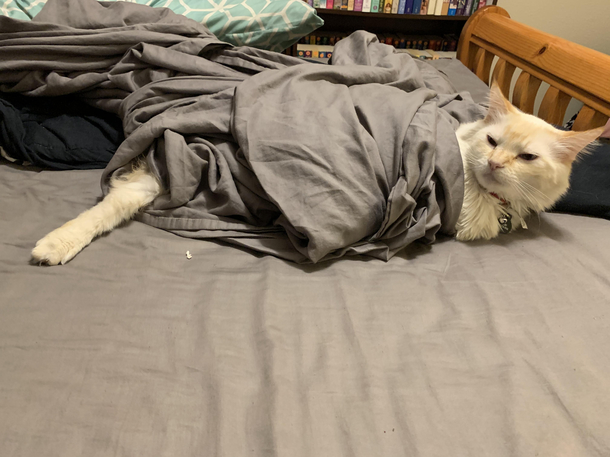 When the blankets too hot but the air is too cold
