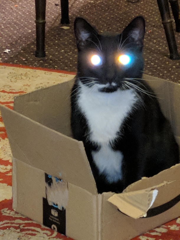 When the box gives you unlimited power