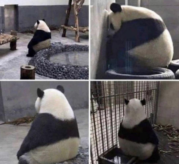When the coworker you always eat lunch with isnt at work today