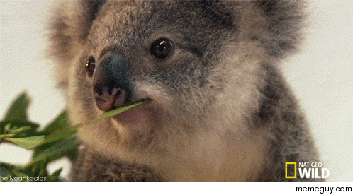 When the cute waitress brings me a refill without me asking for one