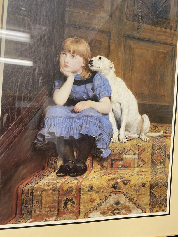 When the dog senses you need some alone time