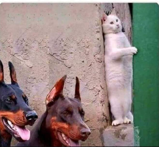 When the dudes that been buying you drinks alll night start looking for you at closing time