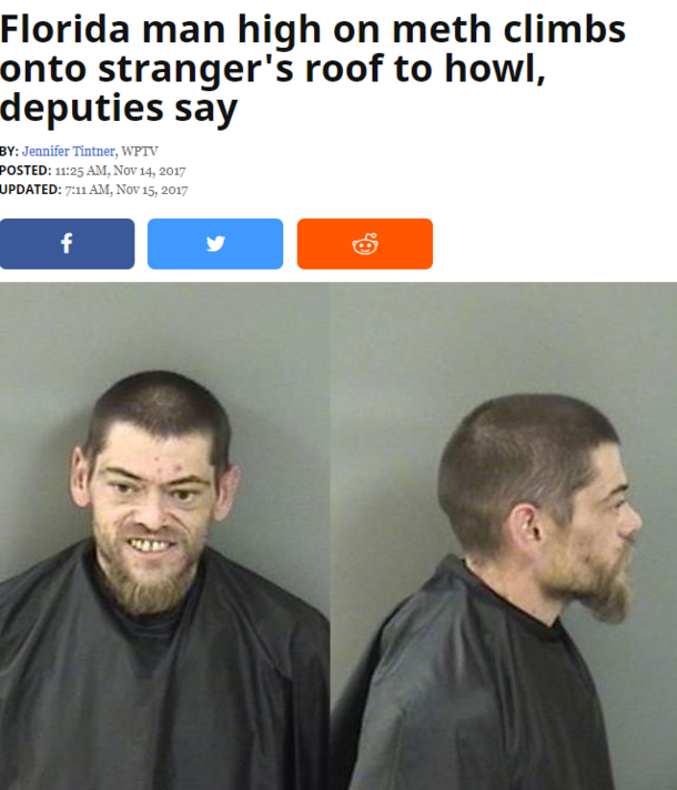 when the headlines start with Florida man you know its gonna be dumb af