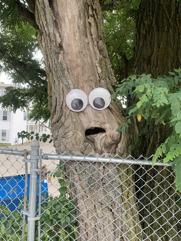When the new apartment complex next door put a fence up