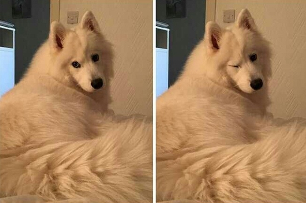 When the photographer calls you cute while taking your pictures