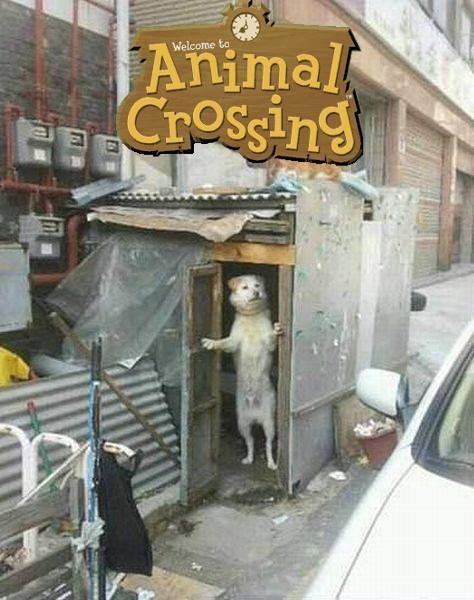 When video games get real