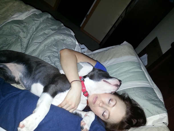 When we first got a puppy my GF vowed he was never allowed in our bed This pic sums up the past few months